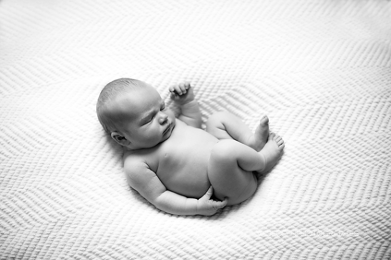 louise. photographe bebe lille 10