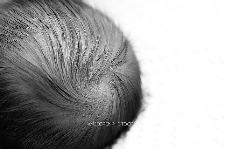 alessio. photographe nouveau ne lille 06