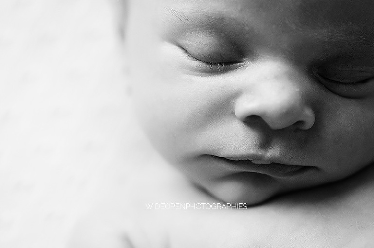 charlie rose. photographe nouveau ne lille 06