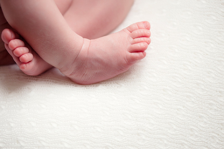 charlie rose. photographe nouveau ne lille 08