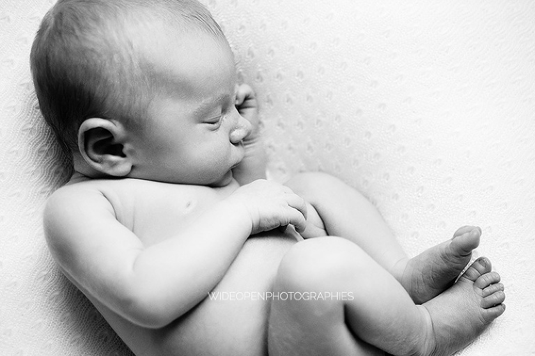 charlie rose. photographe nouveau ne lille 10