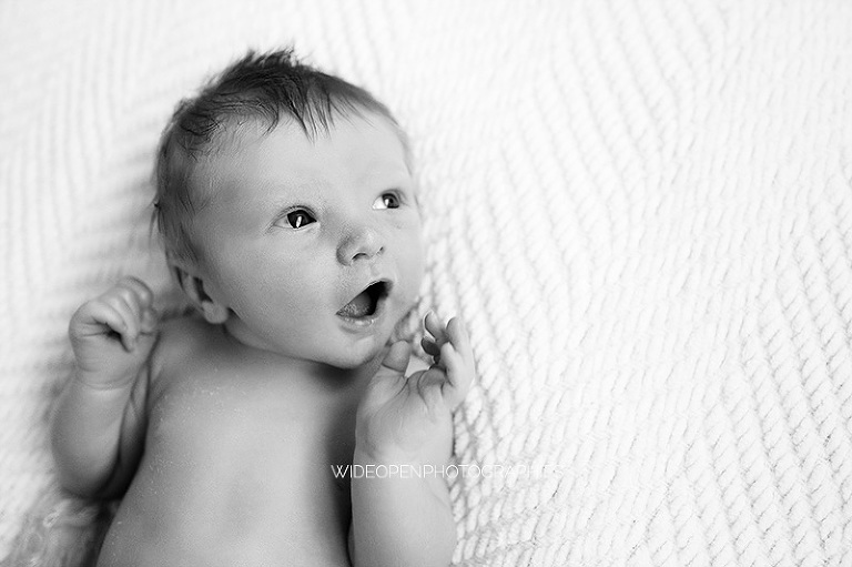 clement. photographe nouveau ne le perreux 07