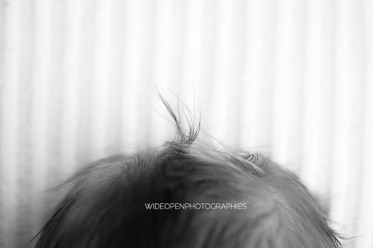 clement. photographe nouveau ne le perreux 08