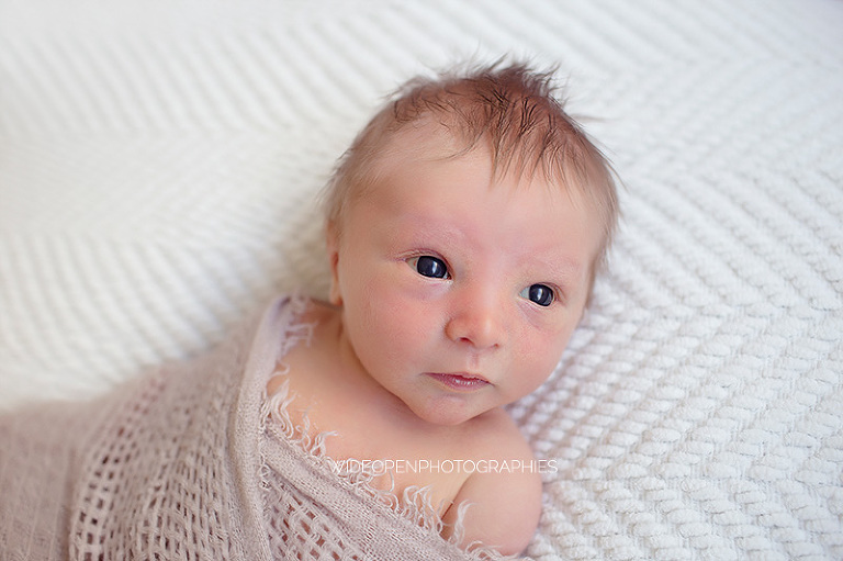 clement. photographe nouveau ne le perreux 09