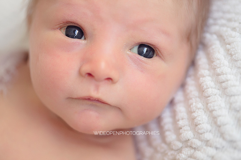 clement. photographe nouveau ne le perreux 12