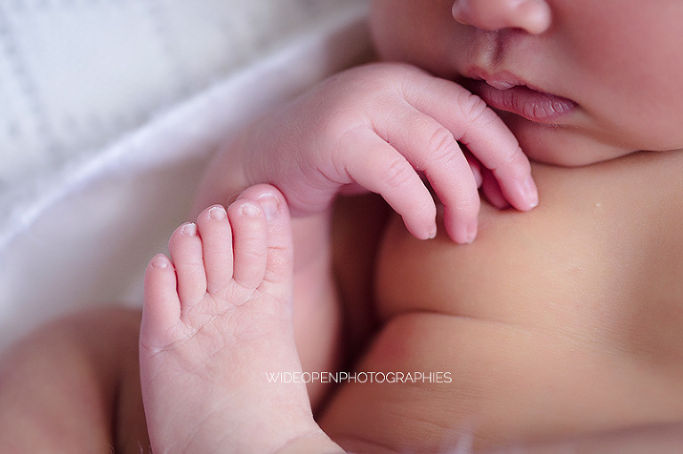 elisa. photographe nouveau ne lille 04