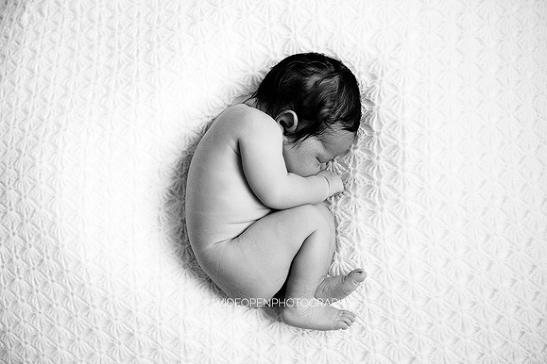 elisa. photographe nouveau ne lille 13