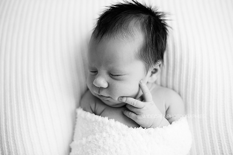 lilas. photographe nouveau ne lille 04