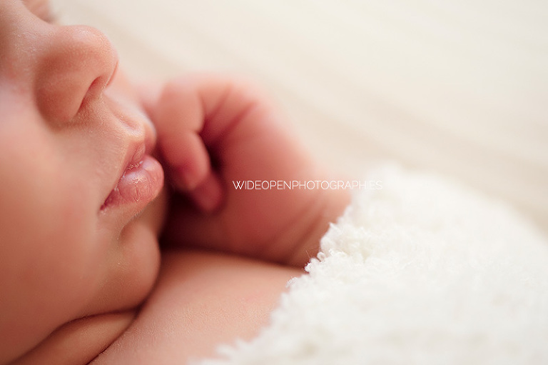 lilas. photographe nouveau ne lille 05