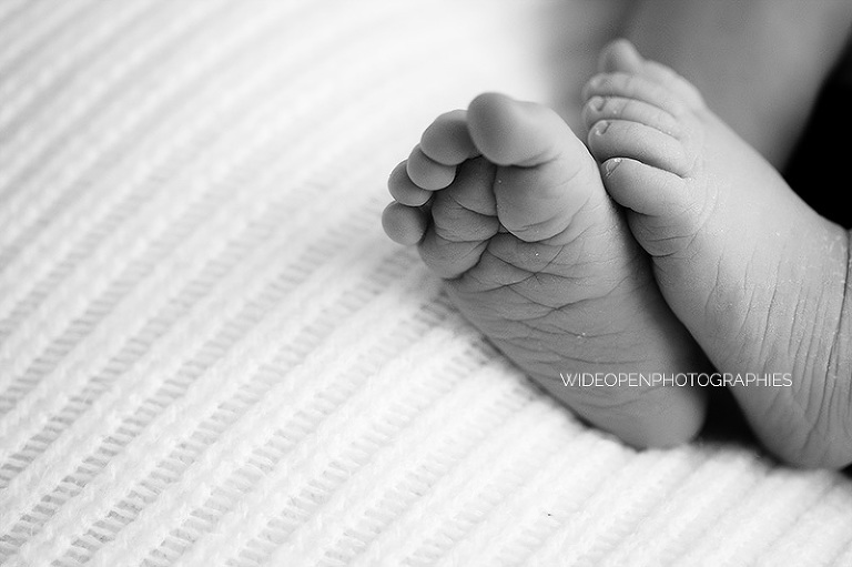 lilas. photographe nouveau ne lille 08