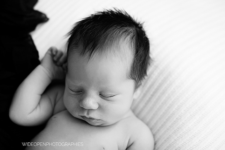 lilas. photographe nouveau ne lille 09