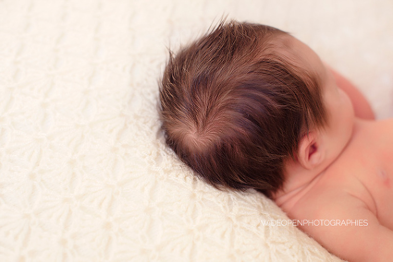 lilas. photographe nouveau ne lille 11