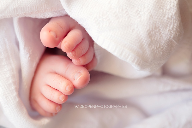 gaspard. photographe nouveau ne laval 03