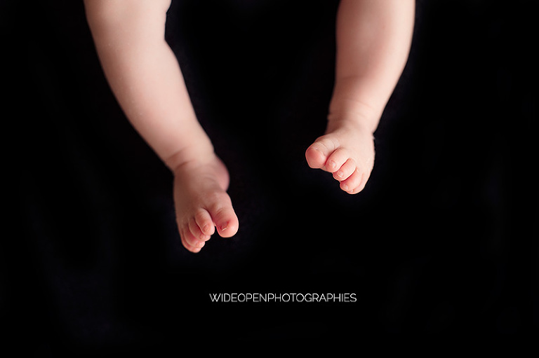 gaspard. photographe nouveau ne laval 07