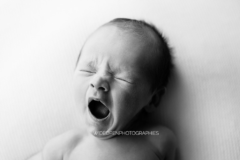 gaspard. photographe nouveau ne laval 11