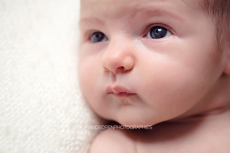 elianore. photographe nouveau ne lille 04