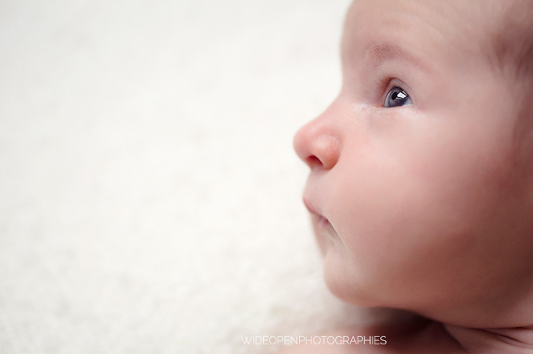 elianore. photographe nouveau ne lille 08