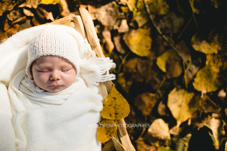 josephine. photographe bebe nature lille 026