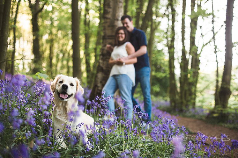 c+v seance engagement flandres 04