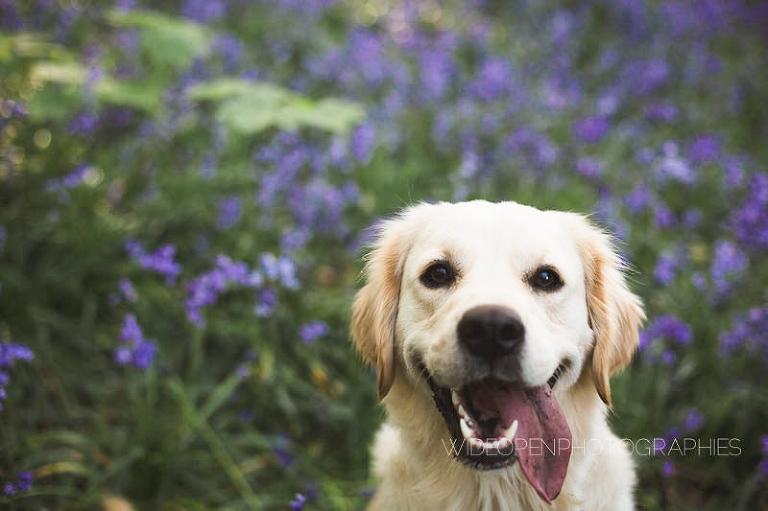 c+v seance engagement flandres 05