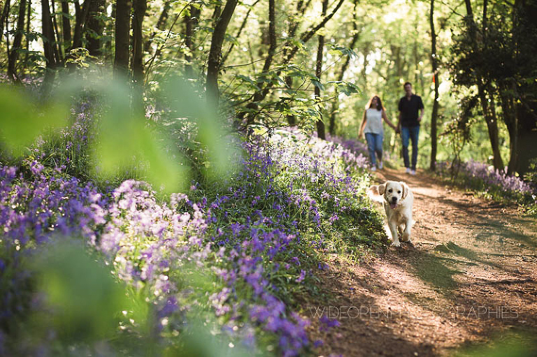 c+v seance engagement flandres 12