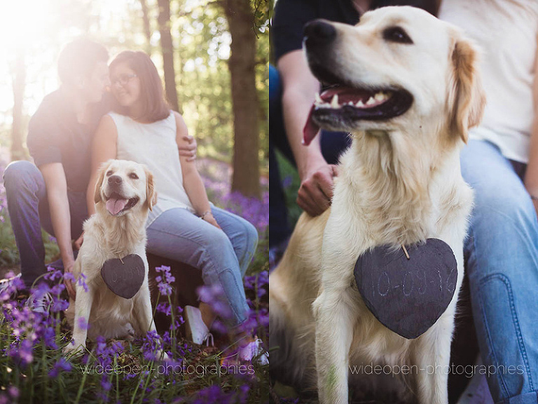 c+v seance engagement flandres 14