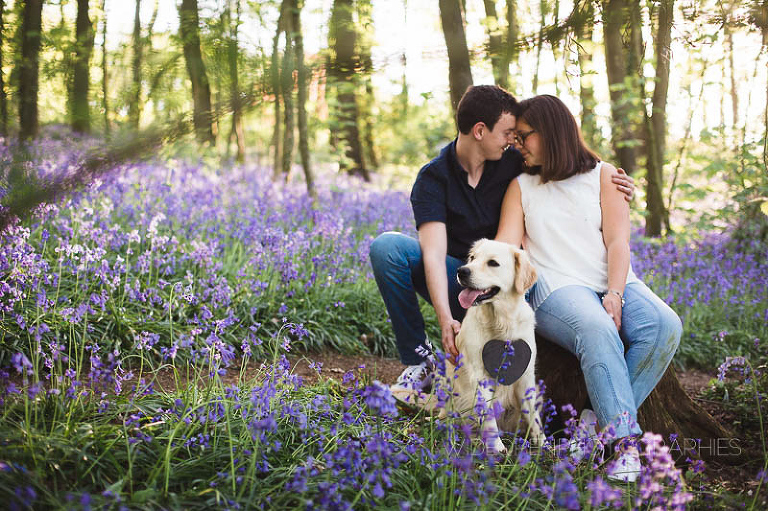 c+v seance engagement flandres 15