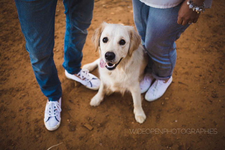 c+v seance engagement flandres 31