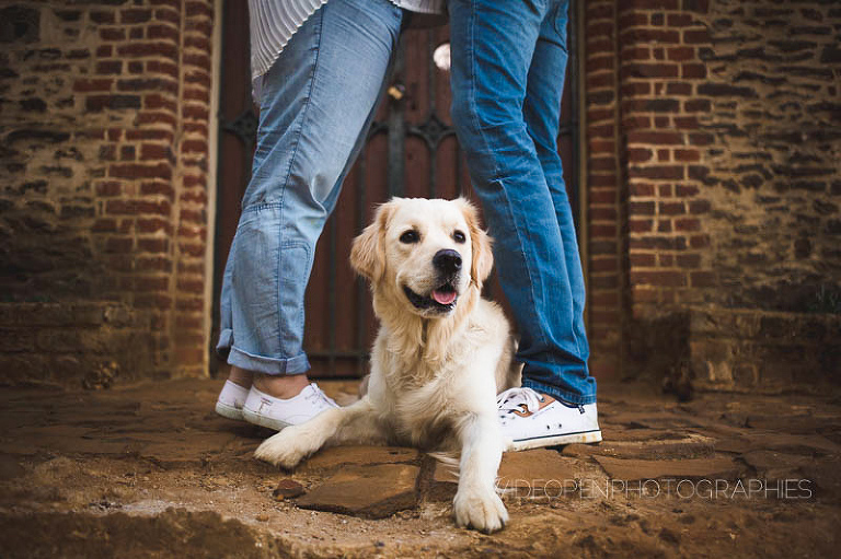 c+v seance engagement flandres 36