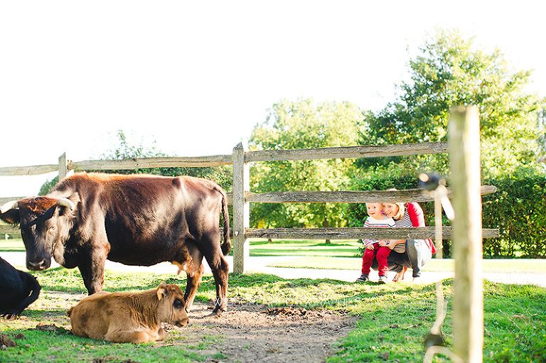 julie. photographe grossesse lille 06