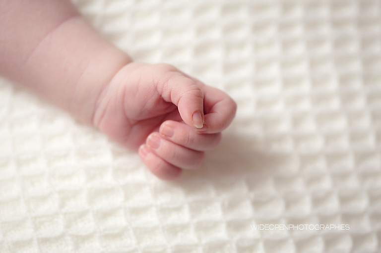 abigail. photographe naissance lille 06