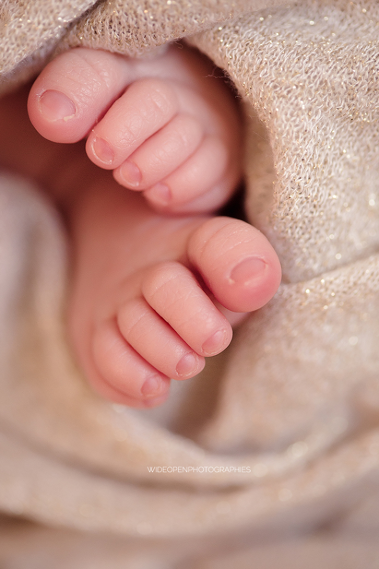 lana. photographe naissance lille 06