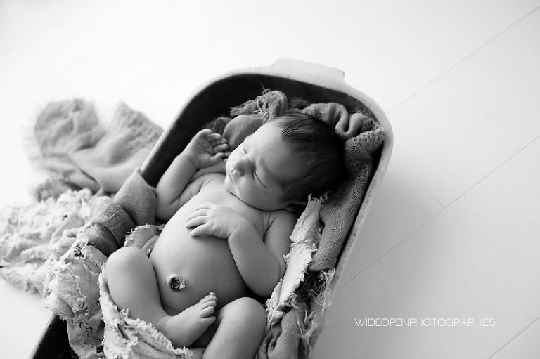 nathan. photographe naissance lyon 15