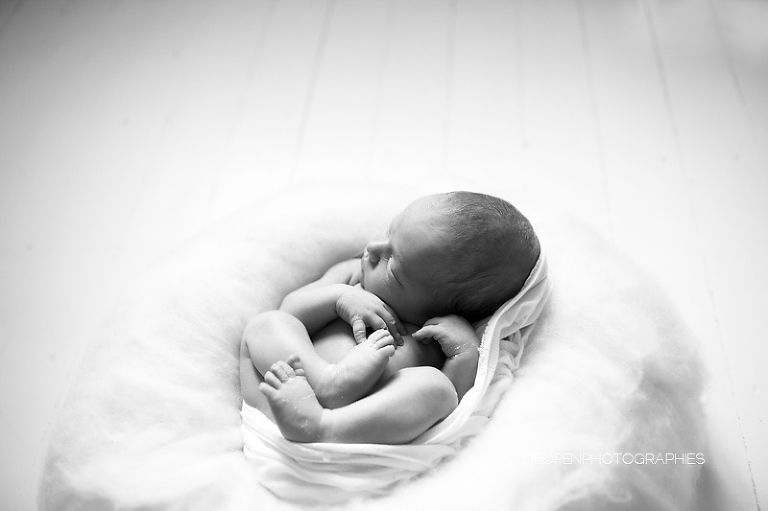 octave. photographe naissance lille 19