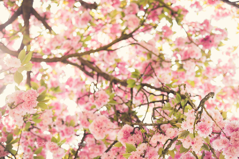 elea. photographe famille paris 07
