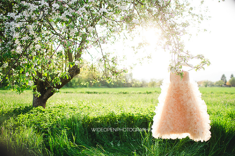 la famille C. photographe famille colmar alsace 35