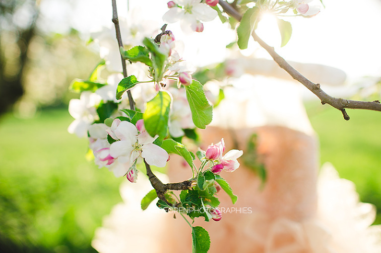 la famille C. photographe famille colmar alsace 36