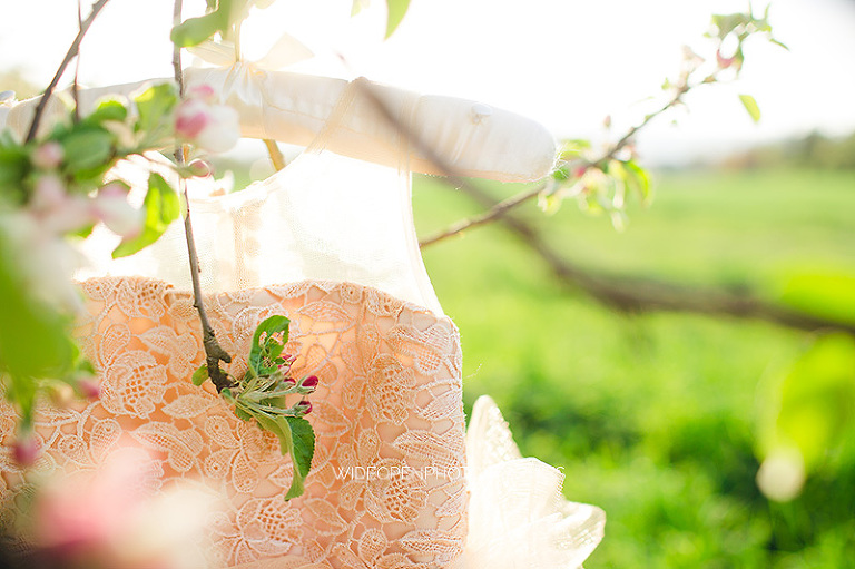 la famille C. photographe famille colmar alsace 37