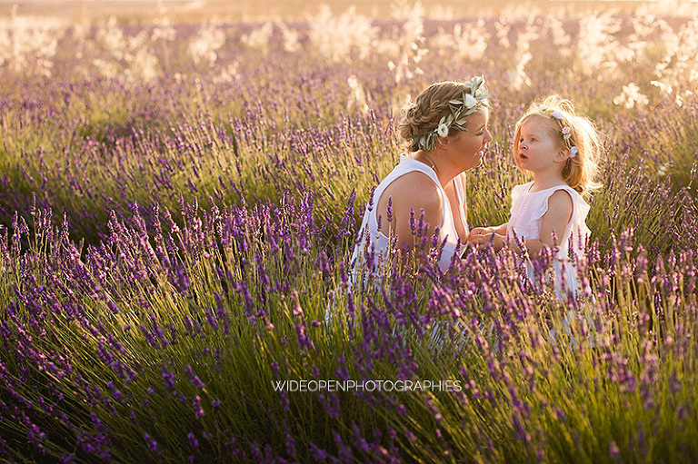 photographe famille champs de lavande 