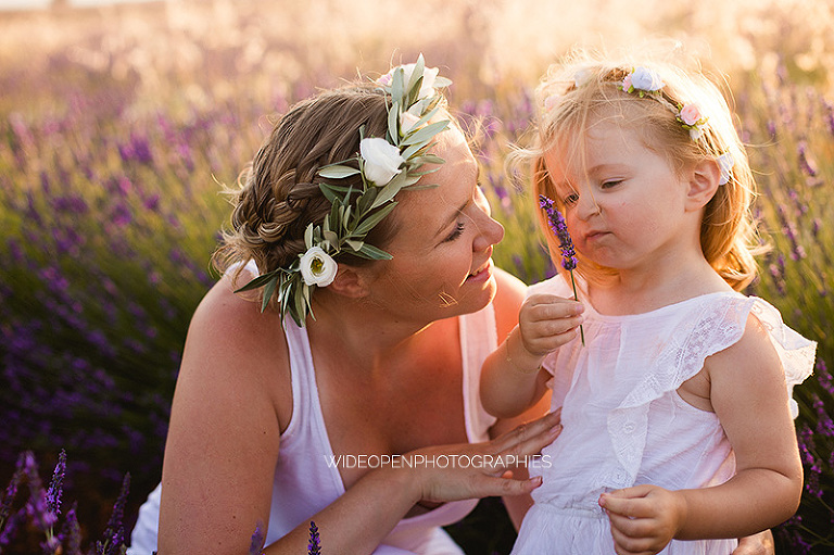 photographe famille champs de lavande 