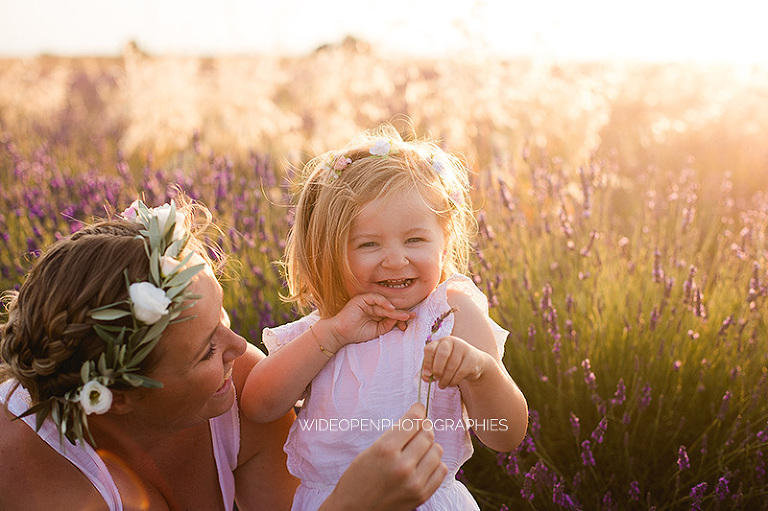 photographe famille champs de lavande 