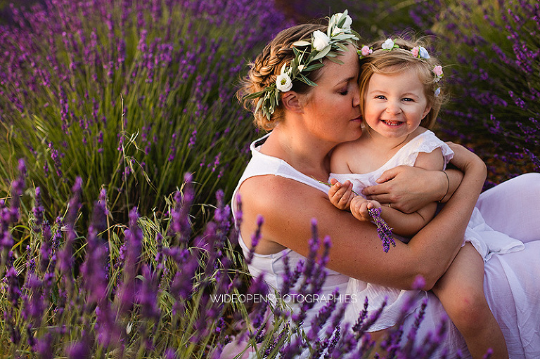 photographe famille champs de lavande