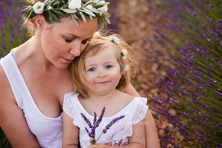 photographe famille champs de lavande