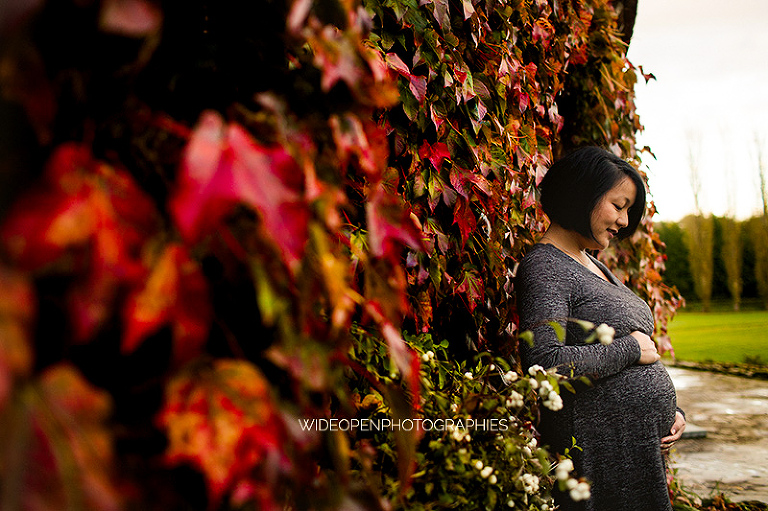 photographe grossesse seine et marne