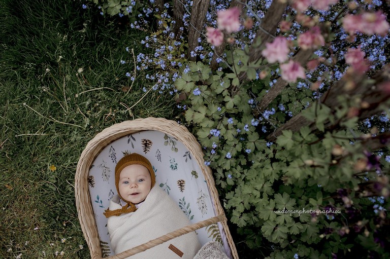 photographe bébé tourcoing