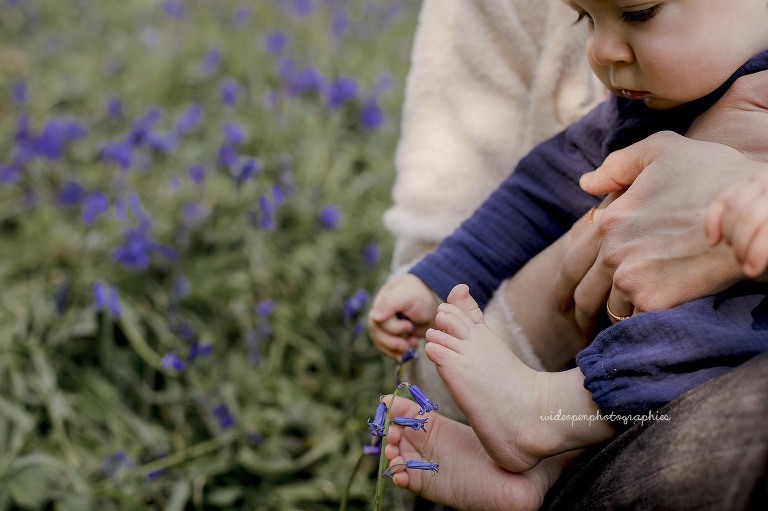 photographe famille Bailleul