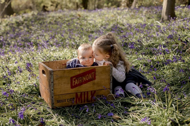 photographe famille Bailleul