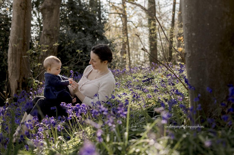 photographe famille Bailleul