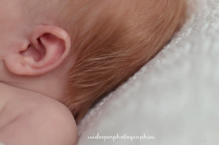 photographe naissance à bondues