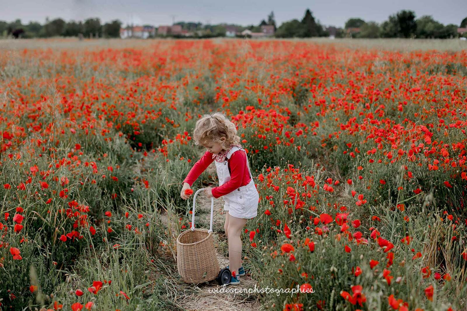 photographe famille coquelicots Lille